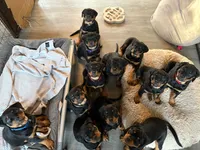 processed/eea60e46-2298-40b5-b5d1-b3d4e77057dd/listing/b78a3e95-98c6-4530-9589-2906e6e2e4d2/d2881d54-7ee8-4022-9a37-977bde03b149