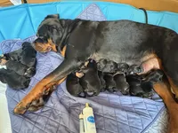 processed/eea60e46-2298-40b5-b5d1-b3d4e77057dd/listing/b78a3e95-98c6-4530-9589-2906e6e2e4d2/f889fa0b-816d-488e-a4f1-4e7d4a092786