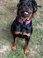 processed/eea60e46-2298-40b5-b5d1-b3d4e77057dd/listing/e527c7d0-6af9-4a56-a40c-b5f2eab49388/13189cc6-1834-4f02-8862-d50de27f149d