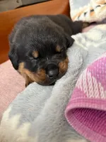 processed/eea60e46-2298-40b5-b5d1-b3d4e77057dd/listing/e527c7d0-6af9-4a56-a40c-b5f2eab49388/434e972b-ec2c-4ac5-81ac-89f9d37991e4