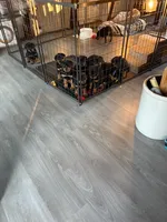 processed/eea60e46-2298-40b5-b5d1-b3d4e77057dd/listing/e527c7d0-6af9-4a56-a40c-b5f2eab49388/4a84eb64-da04-4aed-8da9-a076cee08bf0