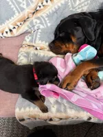 processed/eea60e46-2298-40b5-b5d1-b3d4e77057dd/listing/e527c7d0-6af9-4a56-a40c-b5f2eab49388/6efa9a87-35b0-4000-a981-55485142ff8c