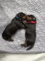 processed/eea60e46-2298-40b5-b5d1-b3d4e77057dd/listing/e527c7d0-6af9-4a56-a40c-b5f2eab49388/d8e3fb74-eecd-4301-9751-9c2504da2653