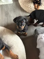 processed/eea60e46-2298-40b5-b5d1-b3d4e77057dd/listing/e527c7d0-6af9-4a56-a40c-b5f2eab49388/f9de8709-0a98-4b3b-bde4-fb8427fadc46