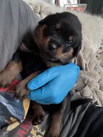 processed/eea60e46-2298-40b5-b5d1-b3d4e77057dd/listing/f6626620-f20f-4717-af78-391d5c2045a2/19033acf-f232-4efb-a575-1adce2b29e80