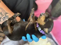 processed/eea60e46-2298-40b5-b5d1-b3d4e77057dd/listing/f6626620-f20f-4717-af78-391d5c2045a2/959cac54-d3e2-4578-a764-79c342fed132