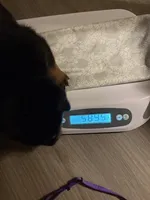 processed/eea60e46-2298-40b5-b5d1-b3d4e77057dd/listing/f6626620-f20f-4717-af78-391d5c2045a2/d3991a41-86b9-4743-911d-062b932a7b09