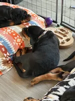 processed/eea60e46-2298-40b5-b5d1-b3d4e77057dd/listing/f86f34b4-92b3-48c8-8d44-12a891e31dde/2f86a9de-04cf-4434-8529-ff5792b1affa