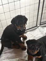 processed/eea60e46-2298-40b5-b5d1-b3d4e77057dd/listing/f86f34b4-92b3-48c8-8d44-12a891e31dde/52797788-b1d3-41a7-a2ce-e42367b2c692