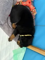 processed/eea60e46-2298-40b5-b5d1-b3d4e77057dd/listing/f86f34b4-92b3-48c8-8d44-12a891e31dde/559f7615-870c-4072-95e1-6f67cae330c0