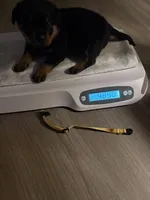 processed/eea60e46-2298-40b5-b5d1-b3d4e77057dd/listing/f86f34b4-92b3-48c8-8d44-12a891e31dde/a4ff2ed8-095e-4163-abfe-385fe4432400