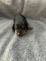 processed/eeb21dd2-c979-4f46-9569-3e6060db7f7e/listing/712fdc53-4729-401c-800b-77dc830d67c8/4e8a8a44-7865-4367-b005-e219ba2a1ac6