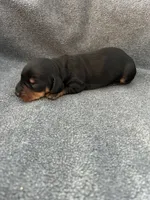 processed/eeb21dd2-c979-4f46-9569-3e6060db7f7e/listing/712fdc53-4729-401c-800b-77dc830d67c8/fa29f754-15a0-49b2-b69f-af3db5213427