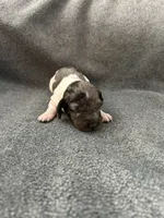 processed/eeb21dd2-c979-4f46-9569-3e6060db7f7e/listing/821ac282-676c-4f26-8b01-9d0f19b7a4d9/8d44d729-5080-4225-94b5-55898f005c73