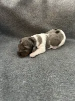 processed/eeb21dd2-c979-4f46-9569-3e6060db7f7e/listing/821ac282-676c-4f26-8b01-9d0f19b7a4d9/f7842ec5-5ef6-4efe-83d2-cc63eccf32ff