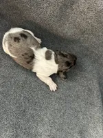 processed/eeb21dd2-c979-4f46-9569-3e6060db7f7e/listing/821ac282-676c-4f26-8b01-9d0f19b7a4d9/f9c97a30-7805-44f8-9d5a-3b63bc77bfd2