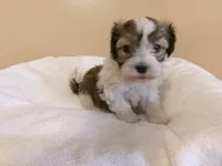 processed/eeb8528f-4d30-46f5-bad1-009c614dec8d/listing/5713cda4-8127-47eb-a57d-a4d2a406c39b/3faaac90-2e64-40f0-943e-1475ecbdc0a2