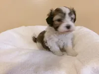 processed/eeb8528f-4d30-46f5-bad1-009c614dec8d/listing/5713cda4-8127-47eb-a57d-a4d2a406c39b/40c59025-5de1-4b8a-b94e-587d3584dc26