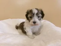 processed/eeb8528f-4d30-46f5-bad1-009c614dec8d/listing/5713cda4-8127-47eb-a57d-a4d2a406c39b/9498289b-253d-4221-8662-af627ce69bee