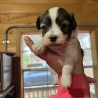 processed/eeb8528f-4d30-46f5-bad1-009c614dec8d/listing/5713cda4-8127-47eb-a57d-a4d2a406c39b/a46d9de6-c4f6-425e-8f50-03604ce44645