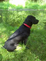 processed/eeb8528f-4d30-46f5-bad1-009c614dec8d/listing/e1f0888b-043e-4c3d-8b2d-f0f59ee4e235/1b57a9b9-a36a-4f4d-853b-c32d8e1ff127