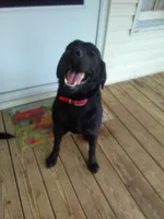 processed/eeb8528f-4d30-46f5-bad1-009c614dec8d/listing/e1f0888b-043e-4c3d-8b2d-f0f59ee4e235/22342f51-fd50-4e1e-ac41-402abad4c3f2