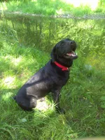 processed/eeb8528f-4d30-46f5-bad1-009c614dec8d/listing/e1f0888b-043e-4c3d-8b2d-f0f59ee4e235/6672ed5b-a343-4ab5-9ed4-a35cc24450bd