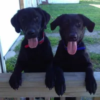 processed/eeb8528f-4d30-46f5-bad1-009c614dec8d/listing/e1f0888b-043e-4c3d-8b2d-f0f59ee4e235/dca4d10f-eadd-4164-be69-2e5d34940504