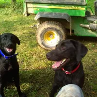 processed/eeb8528f-4d30-46f5-bad1-009c614dec8d/listing/e1f0888b-043e-4c3d-8b2d-f0f59ee4e235/eddc3b7b-bfc8-4ce5-83b9-efc41aff2945