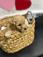 processed/eeb8d08c-e303-44c4-b354-6c48eade707f/listing/1fafa097-42ef-4be2-9854-e7d5b0b0985e/7107792a-ddcc-4519-9edd-8bf0a3ae1539