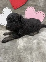 processed/eeb8d08c-e303-44c4-b354-6c48eade707f/listing/487071a1-db6e-4c80-946f-f7646e21d77f/b8ae2887-80fd-4e9e-b9e0-028131991996