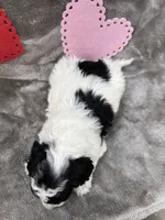 processed/eeb8d08c-e303-44c4-b354-6c48eade707f/listing/990a37bf-2883-4040-9c09-589ec5071db2/f2793d23-797a-41e3-bd85-dcaa173ec996