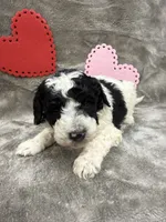 processed/eeb8d08c-e303-44c4-b354-6c48eade707f/listing/990a37bf-2883-4040-9c09-589ec5071db2/fb6cbe61-e9cf-4034-8804-71a4186f6a03