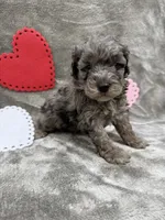 processed/eeb8d08c-e303-44c4-b354-6c48eade707f/listing/a21dd2f8-3654-4fb4-a76f-ab310234f949/47cad7ef-964b-403d-9427-d99f18012086