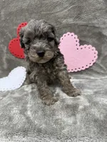 processed/eeb8d08c-e303-44c4-b354-6c48eade707f/listing/a21dd2f8-3654-4fb4-a76f-ab310234f949/a0368561-5e20-4f5f-b4d0-a254d480cb4f