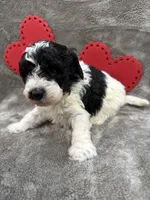 processed/eeb8d08c-e303-44c4-b354-6c48eade707f/listing/c5eb8824-b9b7-45ad-85fc-e1c83f9e9ba1/c42b432a-c28f-4ec1-a971-4ced611ae0d3