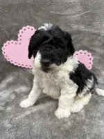 processed/eeb8d08c-e303-44c4-b354-6c48eade707f/listing/fdc91192-c6a5-4e23-a1ca-4a1a08500a3c/25495b1f-9eb3-49fc-92e5-aa0fc4cf2f53