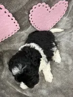 processed/eeb8d08c-e303-44c4-b354-6c48eade707f/listing/fdc91192-c6a5-4e23-a1ca-4a1a08500a3c/d9e1de63-d4d6-46c9-90e4-81f3caffd593