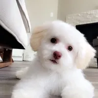 processed/eebacb90-fed6-4e5f-a672-2608029e469a/facility/27e91977-118f-44d8-be62-52f13e20a13d