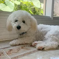 processed/eebacb90-fed6-4e5f-a672-2608029e469a/facility/9138508d-76b6-4b1a-ad04-c12e7608ea49