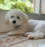 processed/eebacb90-fed6-4e5f-a672-2608029e469a/facility/9138508d-76b6-4b1a-ad04-c12e7608ea49