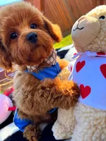 processed/eebacb90-fed6-4e5f-a672-2608029e469a/listing/fafadf53-9bb1-4fe6-be34-9ddf0d0f880e/37f71f35-9863-42ed-8157-ea2e4e352505