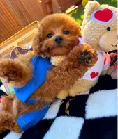 processed/eebacb90-fed6-4e5f-a672-2608029e469a/listing/fafadf53-9bb1-4fe6-be34-9ddf0d0f880e/6d3c5cbe-63a9-4184-980f-0d00ac532c4a