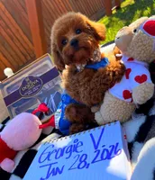 processed/eebacb90-fed6-4e5f-a672-2608029e469a/listing/fafadf53-9bb1-4fe6-be34-9ddf0d0f880e/c0c15d00-13a2-4c43-877b-703da778f3b3