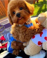 processed/eebacb90-fed6-4e5f-a672-2608029e469a/listing/fafadf53-9bb1-4fe6-be34-9ddf0d0f880e/f2292f9f-67e9-4875-bc62-985a89b022ae