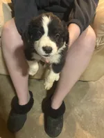 processed/eebb146c-a42c-43a8-8fc1-5e900ac88854/listing/8776f5e8-bc76-4ada-92a6-d876e4ed8425/34d1b0b6-48e3-44d8-98f4-cd8168ca9f13