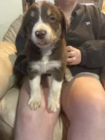 processed/eebb146c-a42c-43a8-8fc1-5e900ac88854/listing/9056d7ed-bca4-48db-abb4-caf238850424/07bdf84b-29e3-430a-bb17-aa555833e2b6