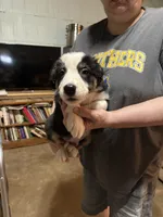 processed/eebb146c-a42c-43a8-8fc1-5e900ac88854/listing/935931f2-da78-4e07-a246-57061329ec2c/dfaf21ee-1673-4694-8be5-6f3d1f1fee57