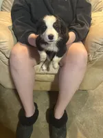 processed/eebb146c-a42c-43a8-8fc1-5e900ac88854/listing/935931f2-da78-4e07-a246-57061329ec2c/e343988e-dbd1-47a0-b68f-a0939cc5c9b6