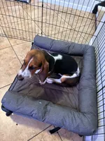 processed/eebfada4-2ffe-4d10-8590-9b7f065f9c6a/listing/63c49bb3-c7b3-49c4-9347-bbca687280de/4fa1e473-25e1-4b9a-b06d-974e262895e8